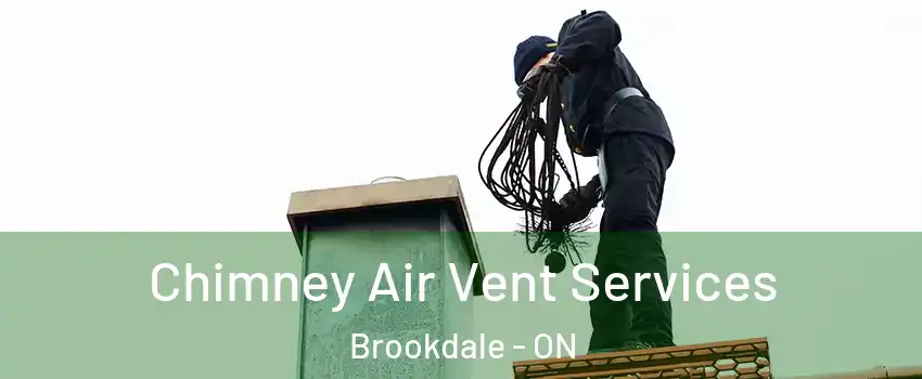  Chimney Air Vent Services Brookdale - ON