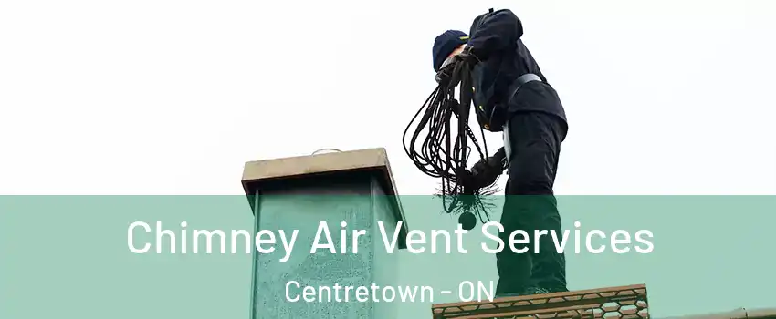  Chimney Air Vent Services Centretown - ON