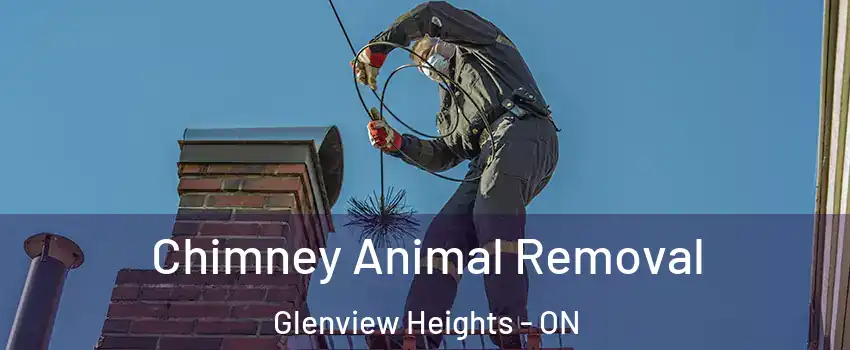 Chimney Animal Removal Glenview Heights - ON