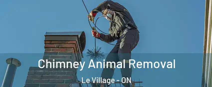 Chimney Animal Removal Le Village - ON