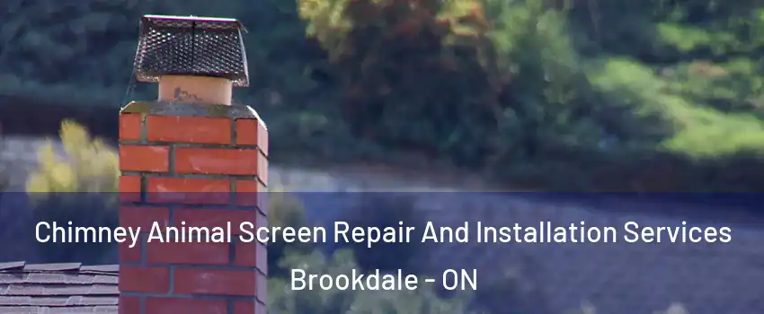  Chimney Animal Screen Repair And Installation Services Brookdale - ON