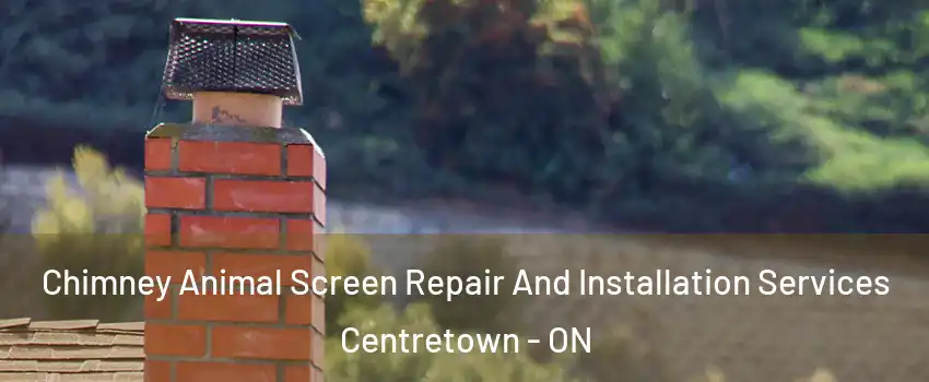  Chimney Animal Screen Repair And Installation Services Centretown - ON