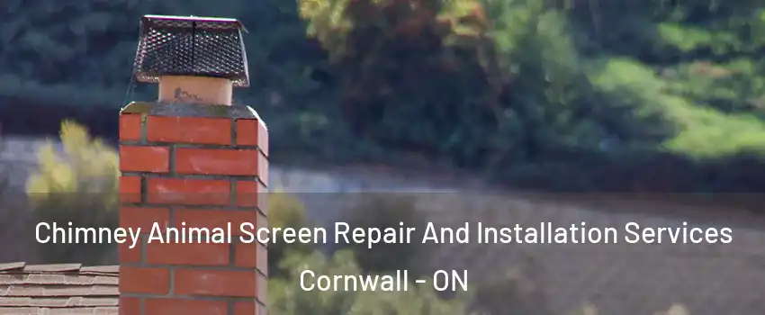  Chimney Animal Screen Repair And Installation Services Cornwall - ON
