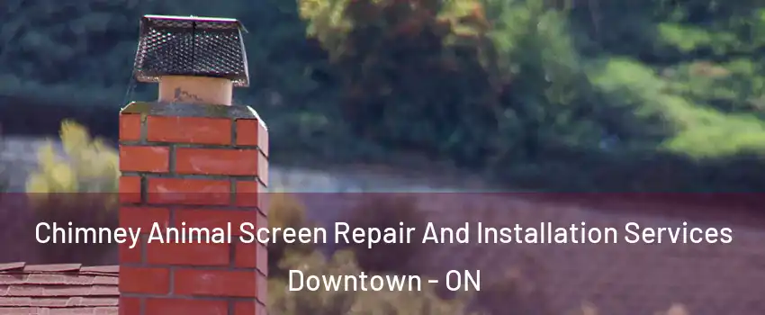  Chimney Animal Screen Repair And Installation Services Downtown - ON