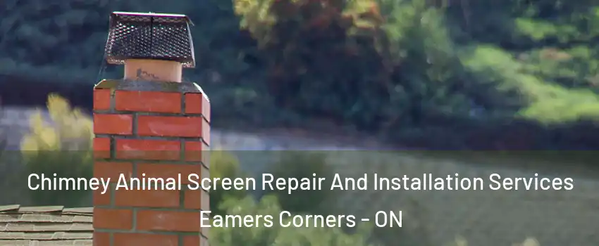  Chimney Animal Screen Repair And Installation Services Eamers Corners - ON