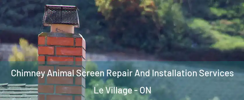  Chimney Animal Screen Repair And Installation Services Le Village - ON