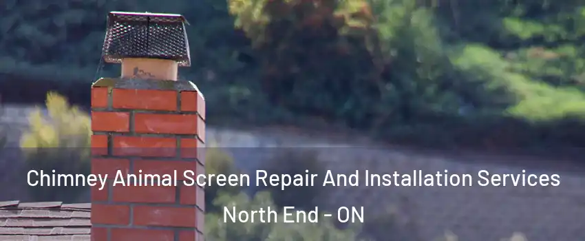 Chimney Animal Screen Repair And Installation Services North End - ON