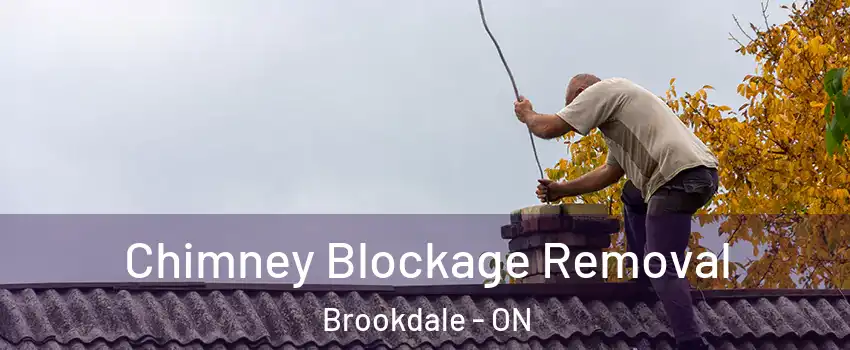  Chimney Blockage Removal Brookdale - ON