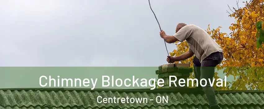  Chimney Blockage Removal Centretown - ON