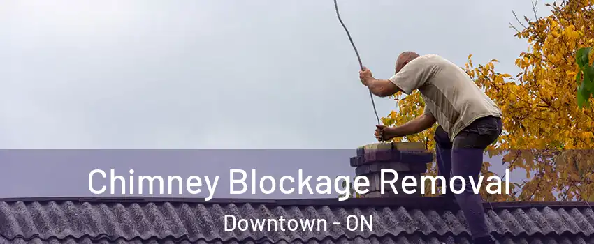  Chimney Blockage Removal Downtown - ON