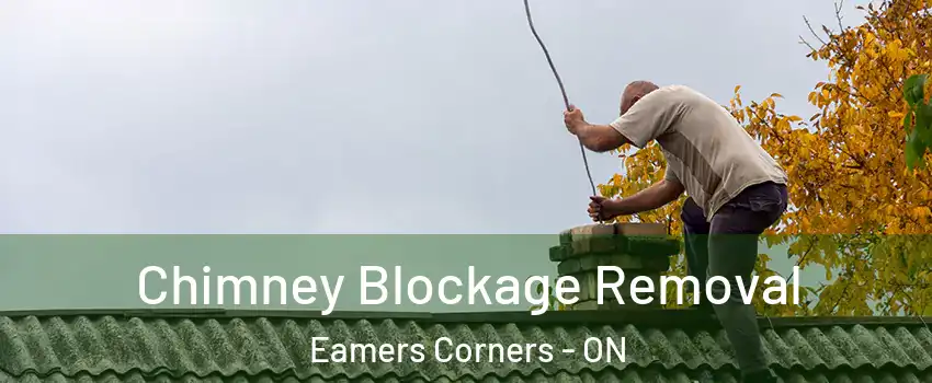 Chimney Blockage Removal Eamers Corners - ON