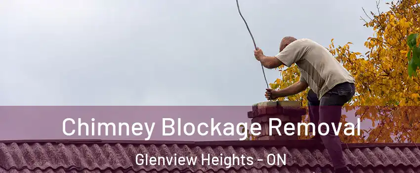  Chimney Blockage Removal Glenview Heights - ON