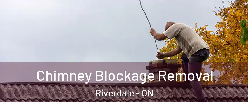  Chimney Blockage Removal Riverdale - ON