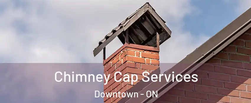  Chimney Cap Services Downtown - ON
