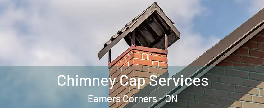  Chimney Cap Services Eamers Corners - ON