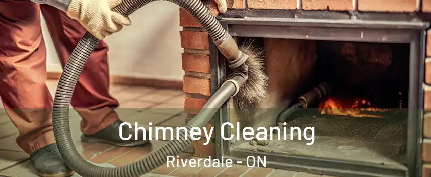  Chimney Cleaning Riverdale - ON