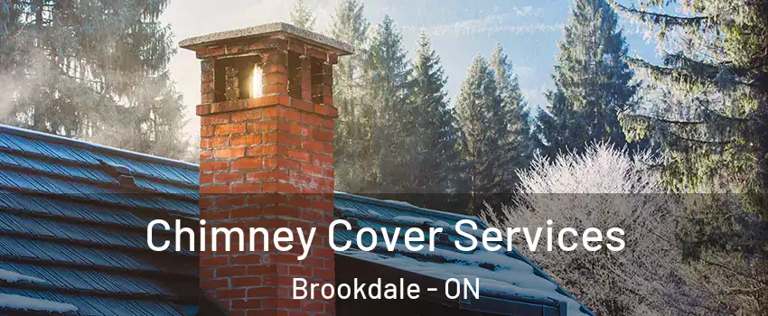  Chimney Cover Services Brookdale - ON