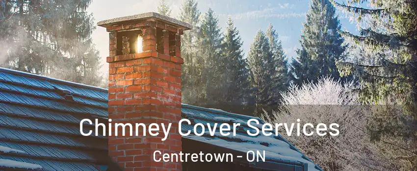  Chimney Cover Services Centretown - ON