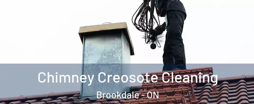  Chimney Creosote Cleaning Brookdale - ON