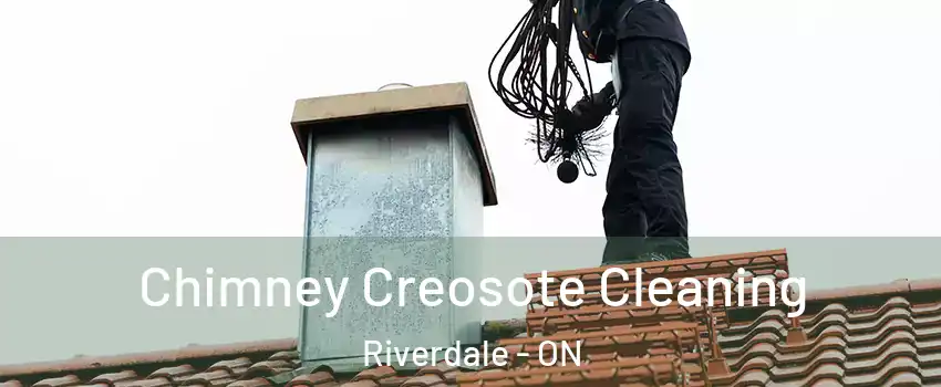  Chimney Creosote Cleaning Riverdale - ON