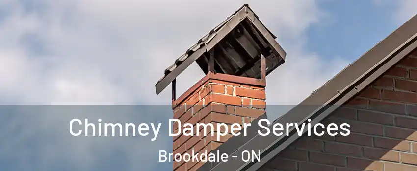  Chimney Damper Services Brookdale - ON