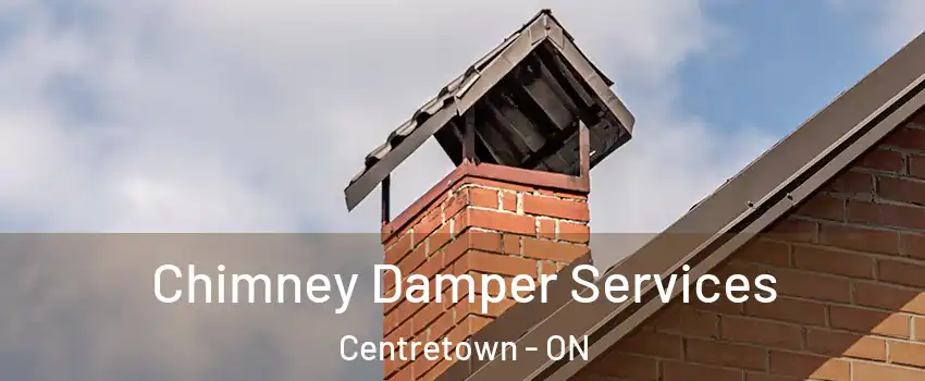  Chimney Damper Services Centretown - ON