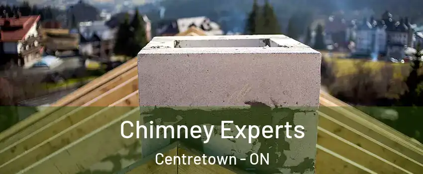 Chimney Experts Centretown - ON