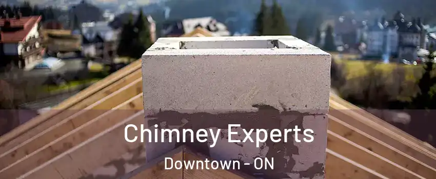 Chimney Experts Downtown - ON