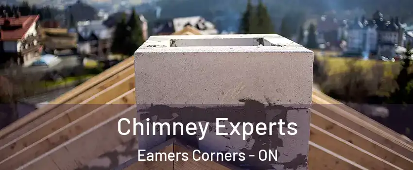 Chimney Experts Eamers Corners - ON
