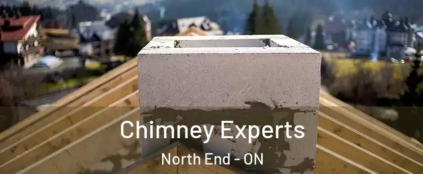 Chimney Experts North End - ON