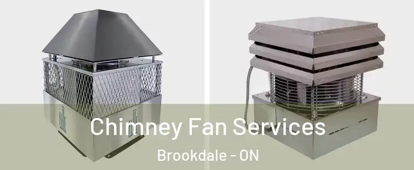  Chimney Fan Services Brookdale - ON