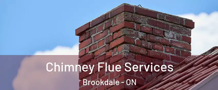  Chimney Flue Services Brookdale - ON