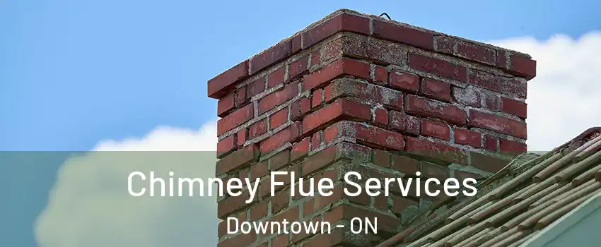  Chimney Flue Services Downtown - ON