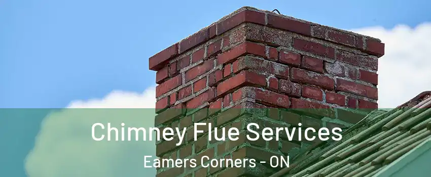  Chimney Flue Services Eamers Corners - ON
