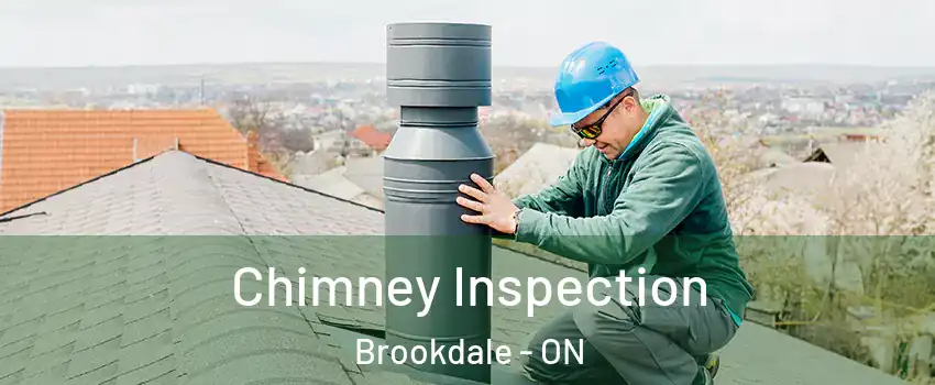  Chimney Inspection Brookdale - ON