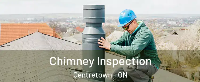  Chimney Inspection Centretown - ON