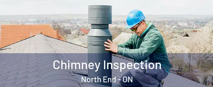  Chimney Inspection North End - ON