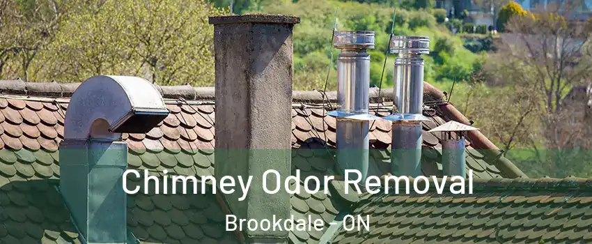  Chimney Odor Removal Brookdale - ON
