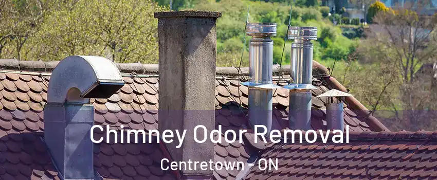  Chimney Odor Removal Centretown - ON
