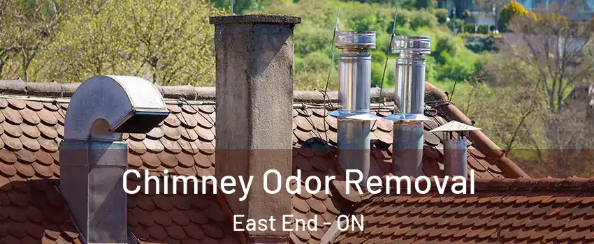 Chimney Odor Removal East End - ON