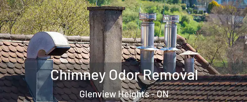  Chimney Odor Removal Glenview Heights - ON