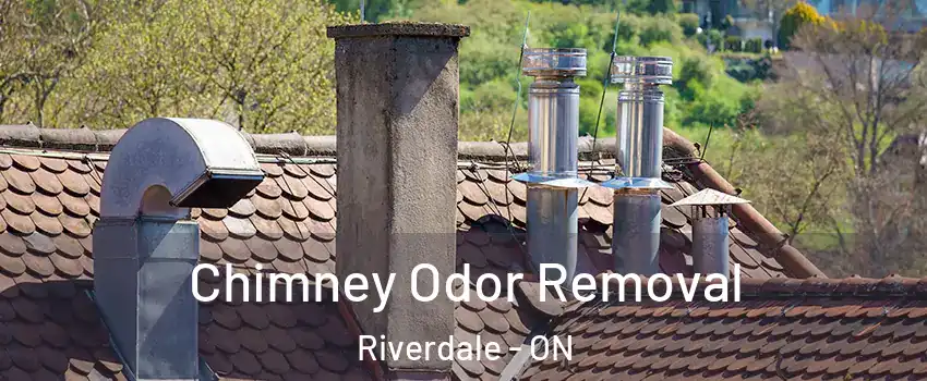  Chimney Odor Removal Riverdale - ON