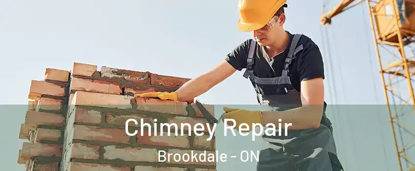  Chimney Repair Brookdale - ON