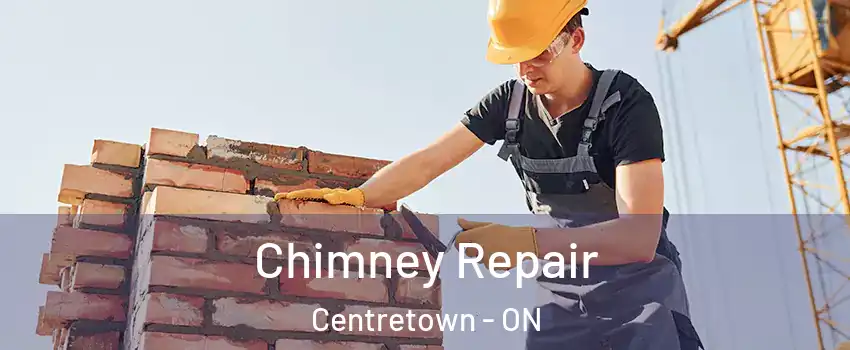  Chimney Repair Centretown - ON