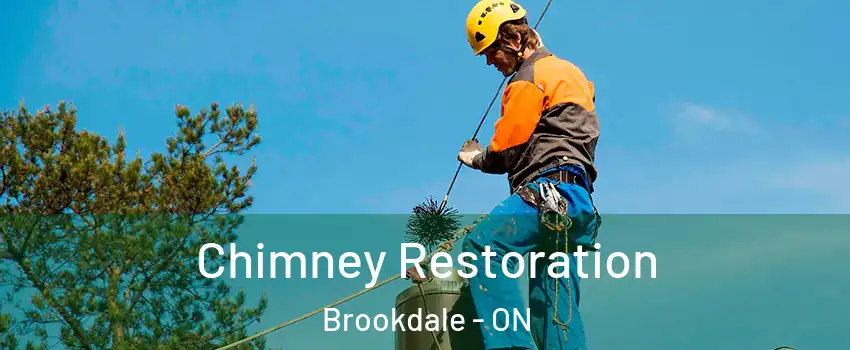 Chimney Restoration Brookdale - ON