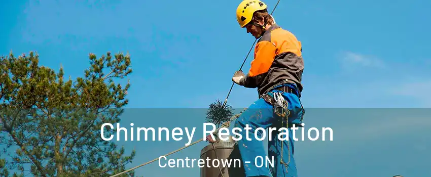  Chimney Restoration Centretown - ON