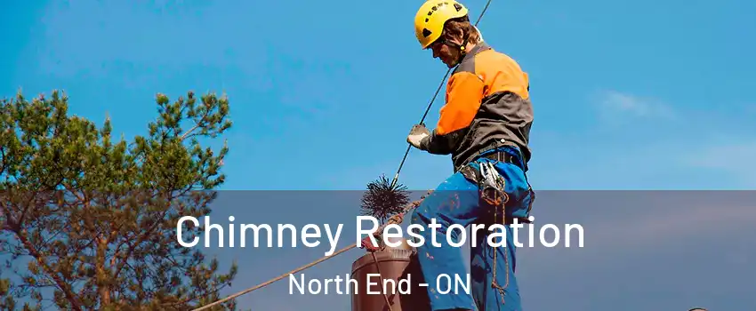  Chimney Restoration North End - ON