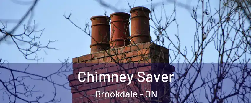  Chimney Saver Brookdale - ON