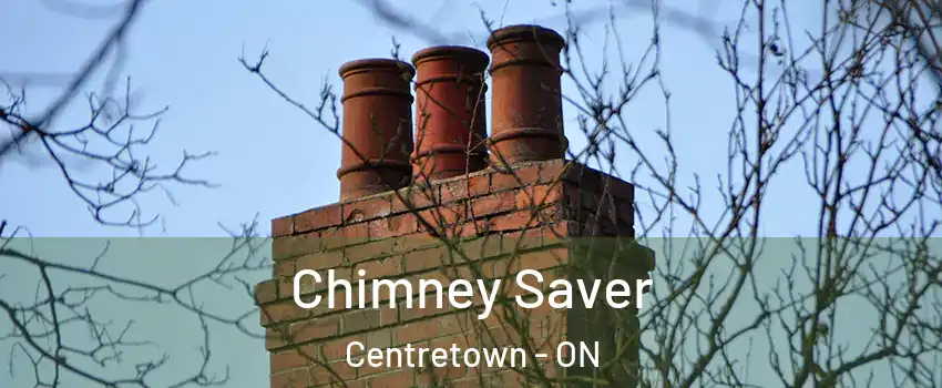  Chimney Saver Centretown - ON