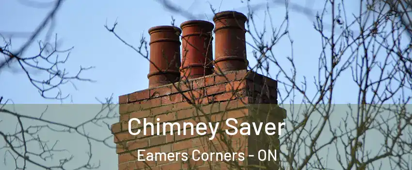  Chimney Saver Eamers Corners - ON